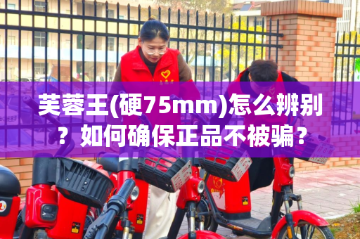 芙蓉王(硬75mm)怎么辨别？如何确保正品不被骗？